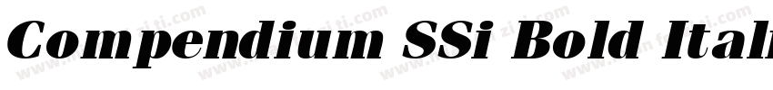 Compendium SSi Bold Italic字体转换